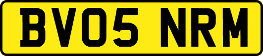 BV05NRM