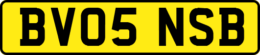 BV05NSB