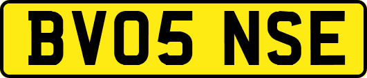 BV05NSE