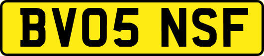 BV05NSF
