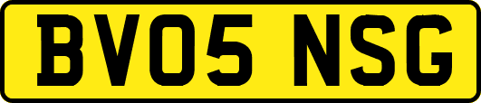 BV05NSG