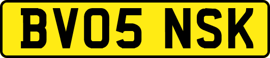 BV05NSK