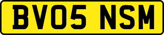 BV05NSM