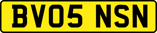 BV05NSN