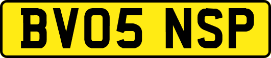 BV05NSP