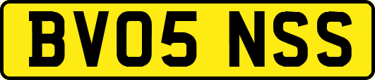 BV05NSS