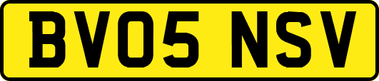 BV05NSV