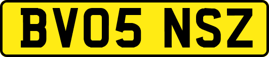 BV05NSZ