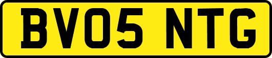 BV05NTG