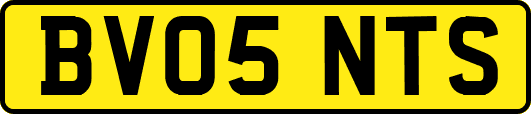 BV05NTS