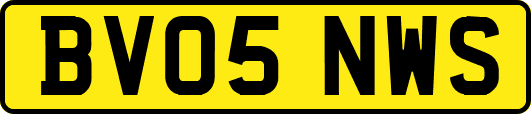 BV05NWS