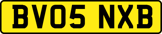 BV05NXB