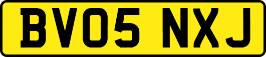 BV05NXJ