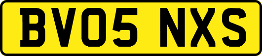 BV05NXS