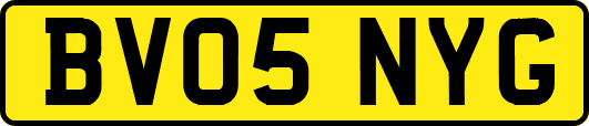 BV05NYG