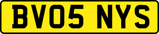 BV05NYS