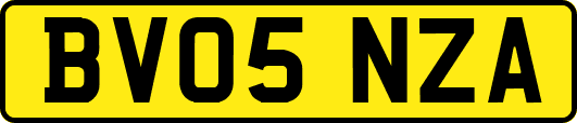 BV05NZA