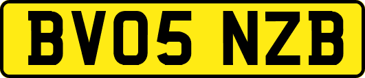 BV05NZB