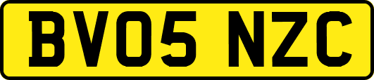 BV05NZC