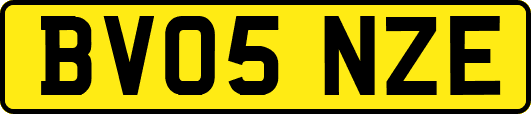 BV05NZE