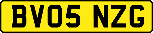 BV05NZG