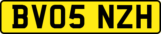 BV05NZH