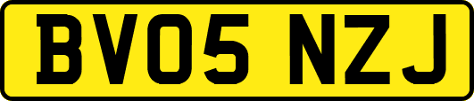BV05NZJ
