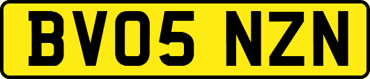 BV05NZN