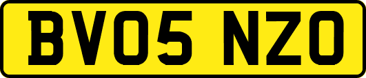 BV05NZO