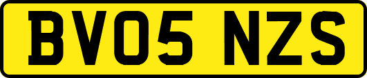 BV05NZS