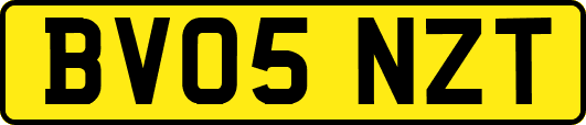 BV05NZT