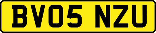 BV05NZU