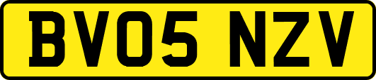 BV05NZV