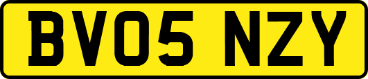 BV05NZY