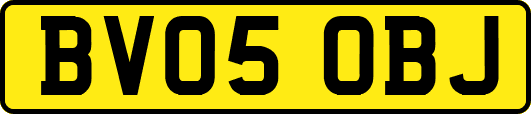 BV05OBJ
