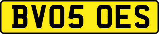 BV05OES