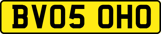 BV05OHO