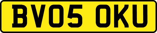 BV05OKU