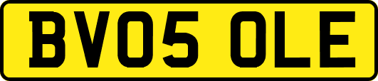 BV05OLE