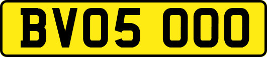 BV05OOO