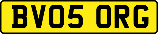 BV05ORG