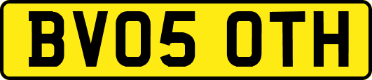 BV05OTH