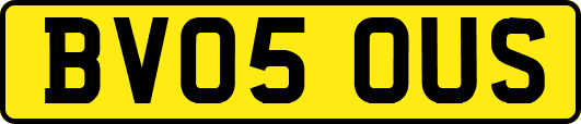 BV05OUS