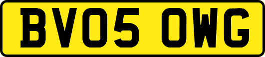 BV05OWG