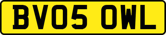 BV05OWL