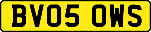 BV05OWS