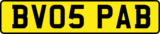 BV05PAB