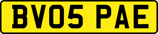 BV05PAE