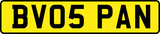 BV05PAN