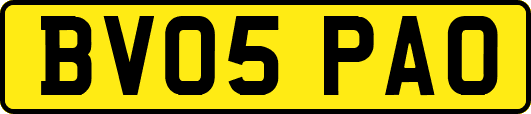 BV05PAO